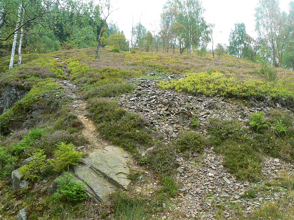 Vycházka z Kraslic na Šibeniční vrch