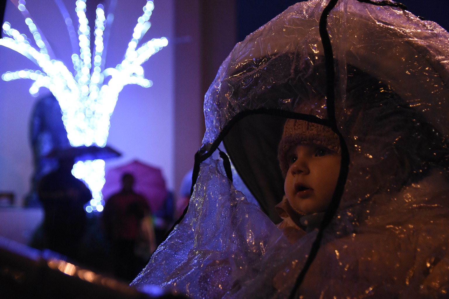 Rosvěcení vánočního stromu