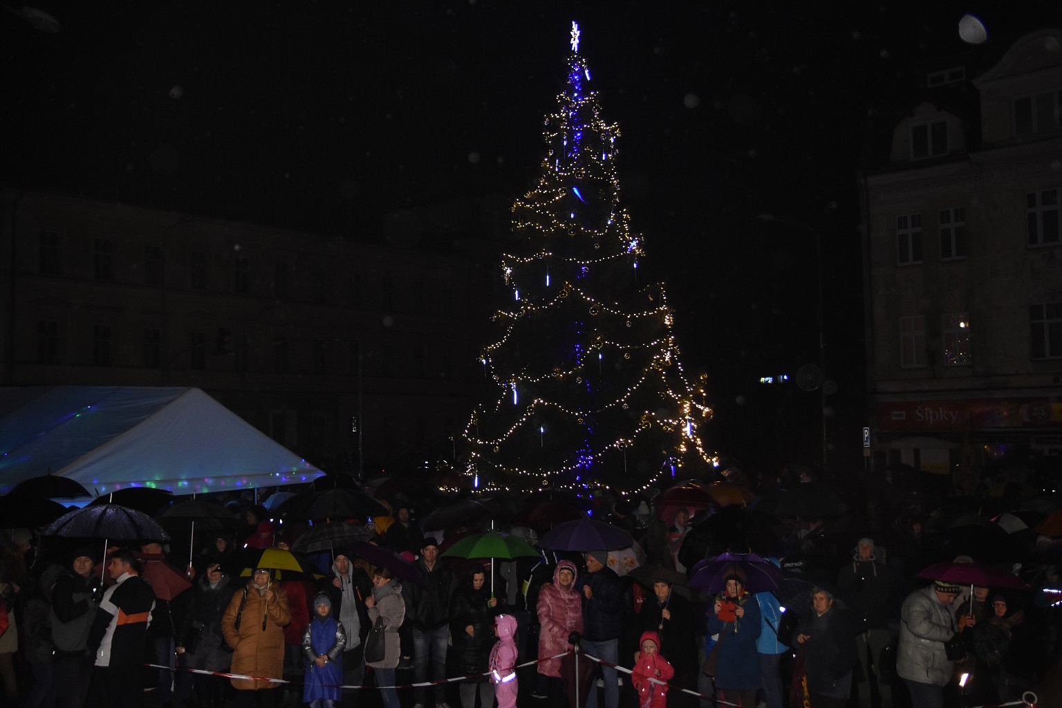 Rosvěcení vánočního stromu