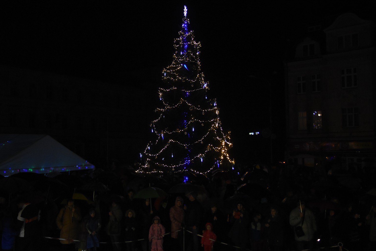 Rosvěcení vánočního stromu