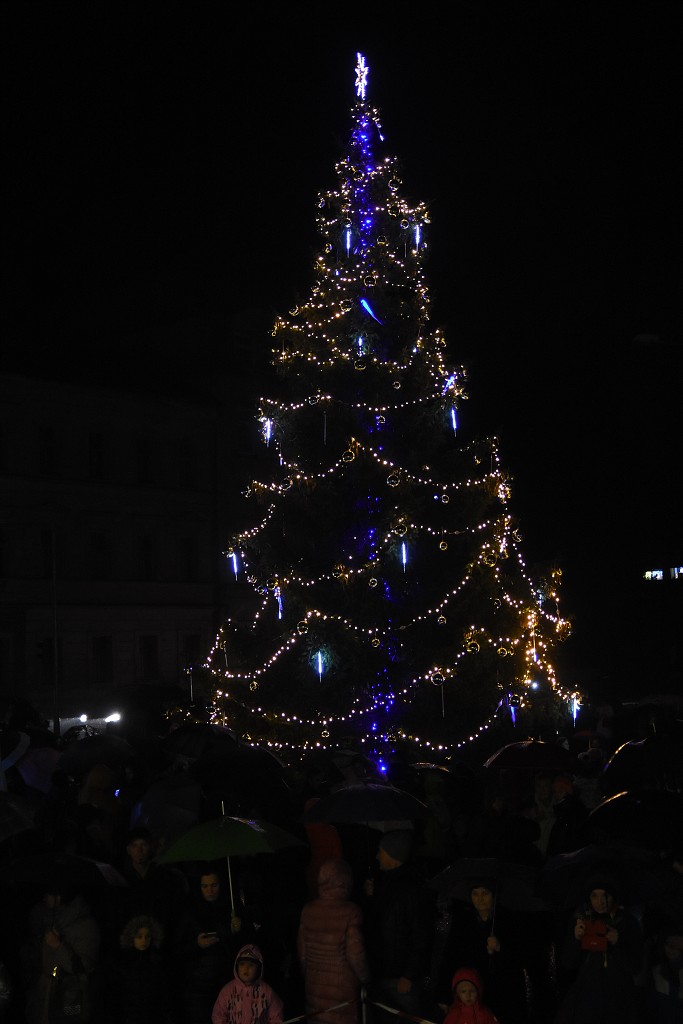 Rosvěcení vánočního stromu