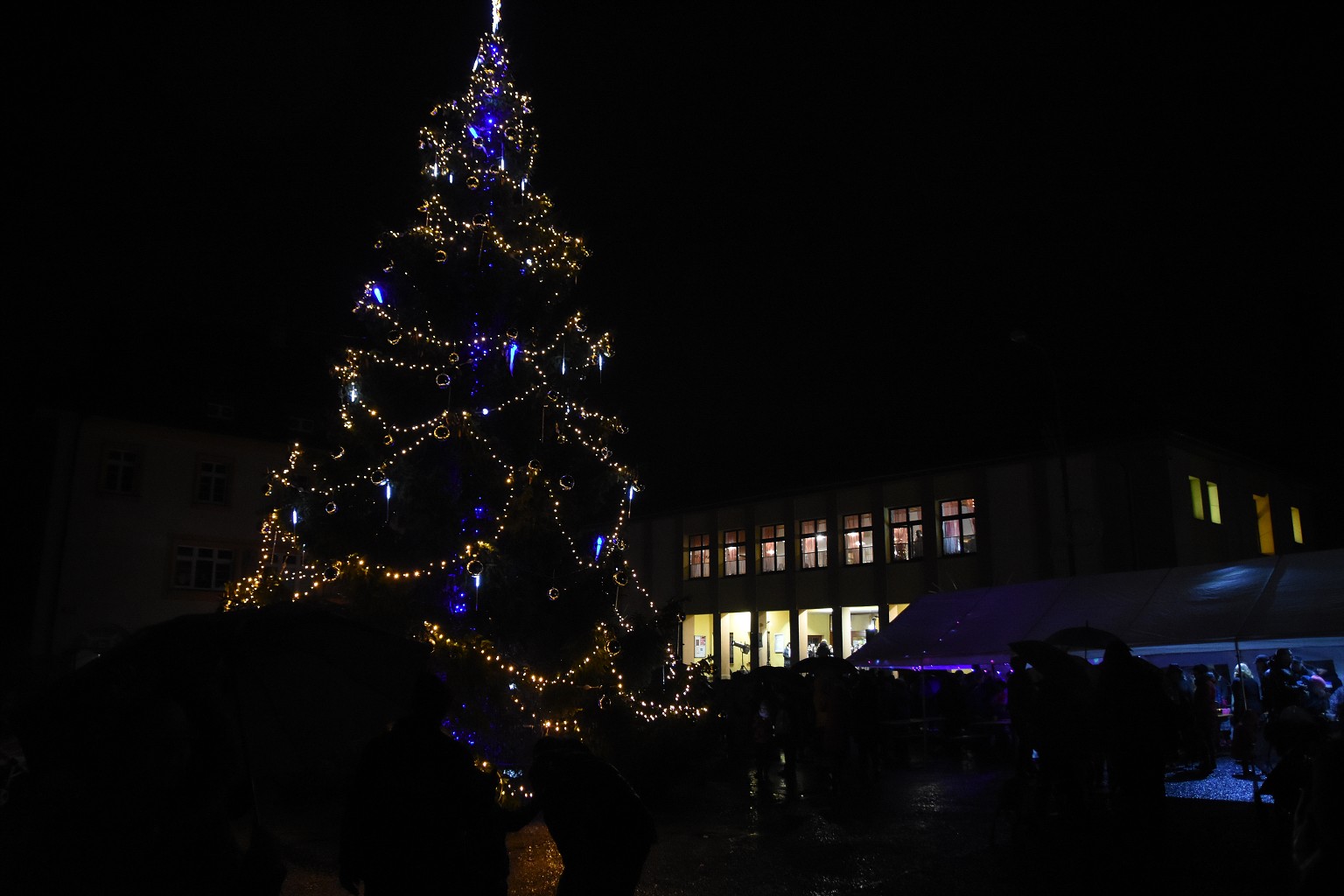 Rosvěcení vánočního stromu