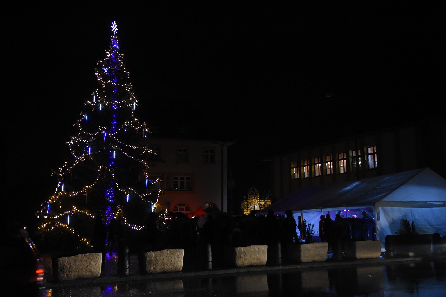 Rosvěcení vánočního stromu