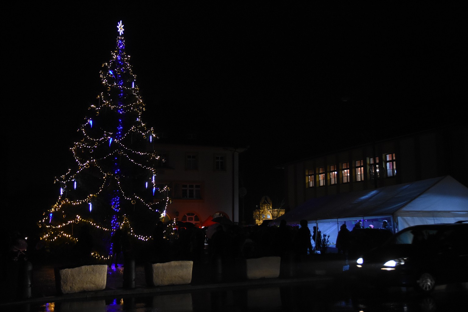 Rosvěcení vánočního stromu