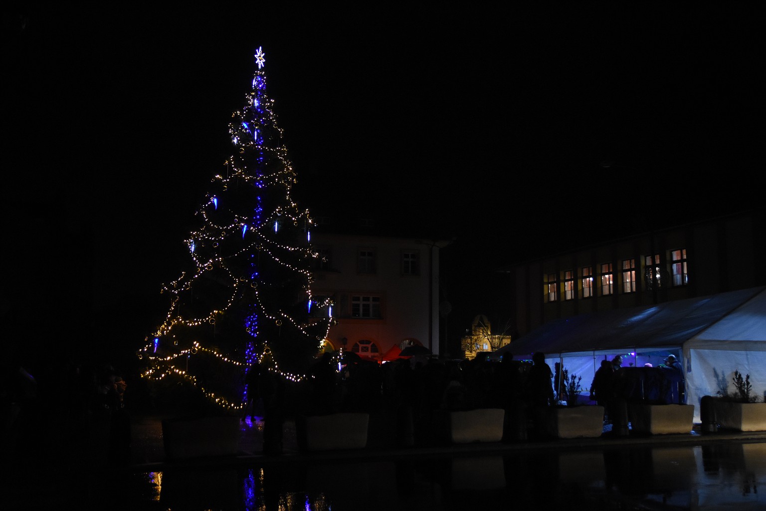 Rosvěcení vánočního stromu