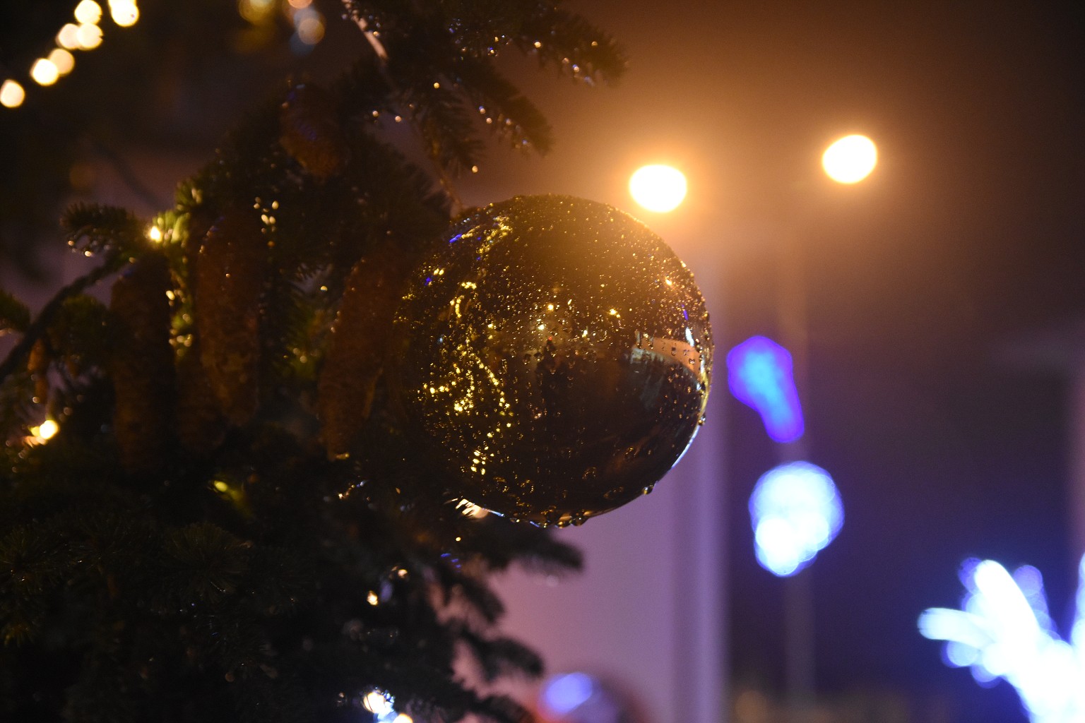 Rosvěcení vánočního stromu