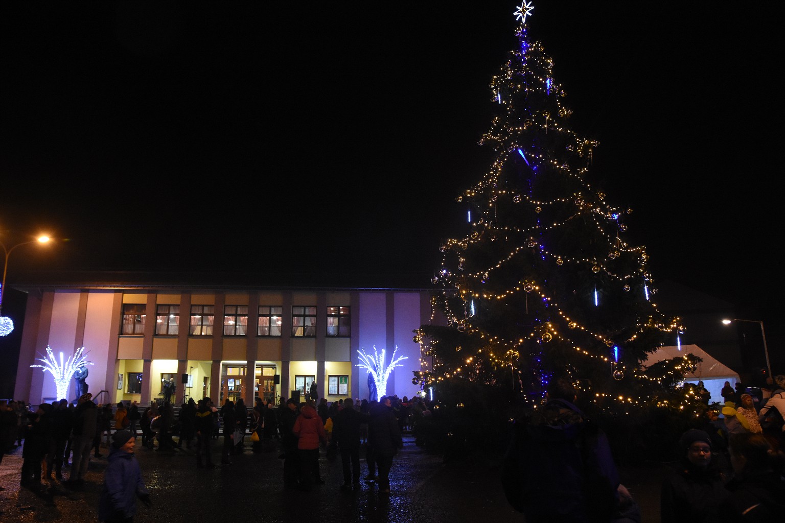 Rosvěcení vánočního stromu