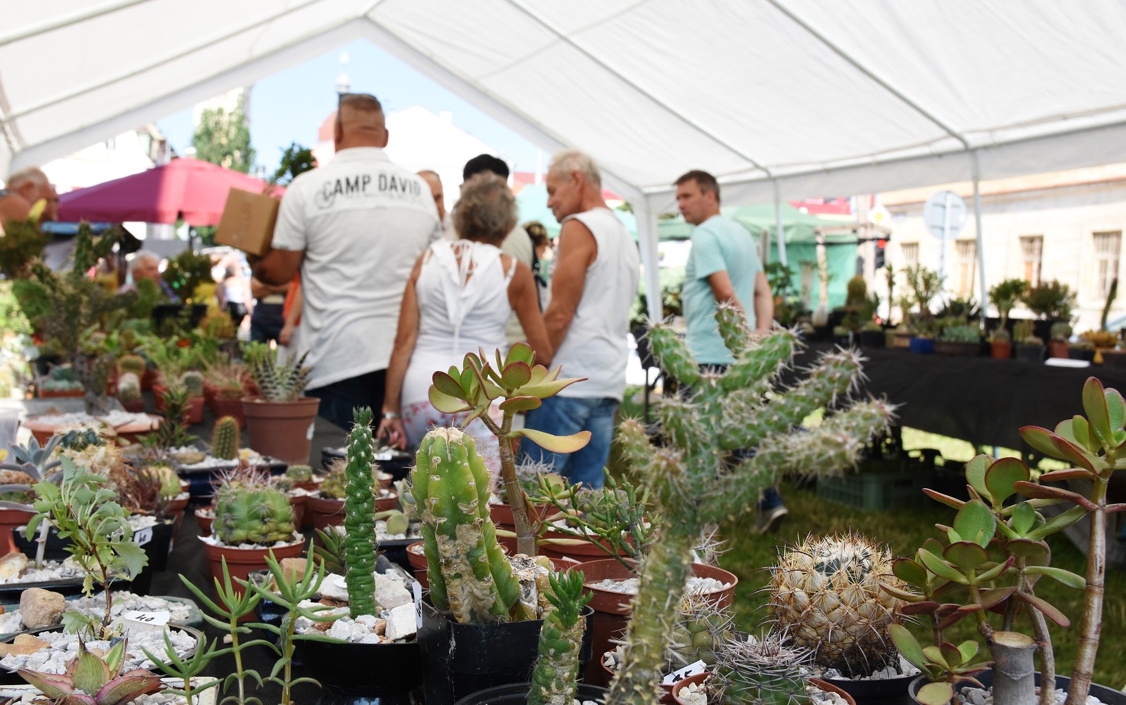 50. Kraslický jarmark