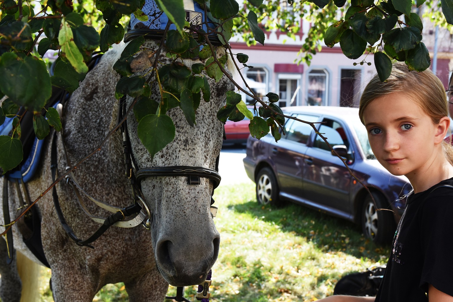 50. Kraslický jarmark