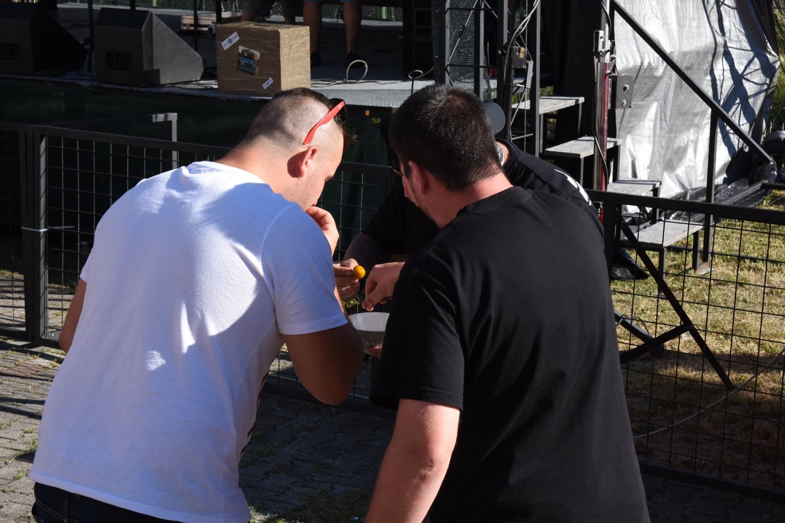 Pivní slavnosti Kraslcie