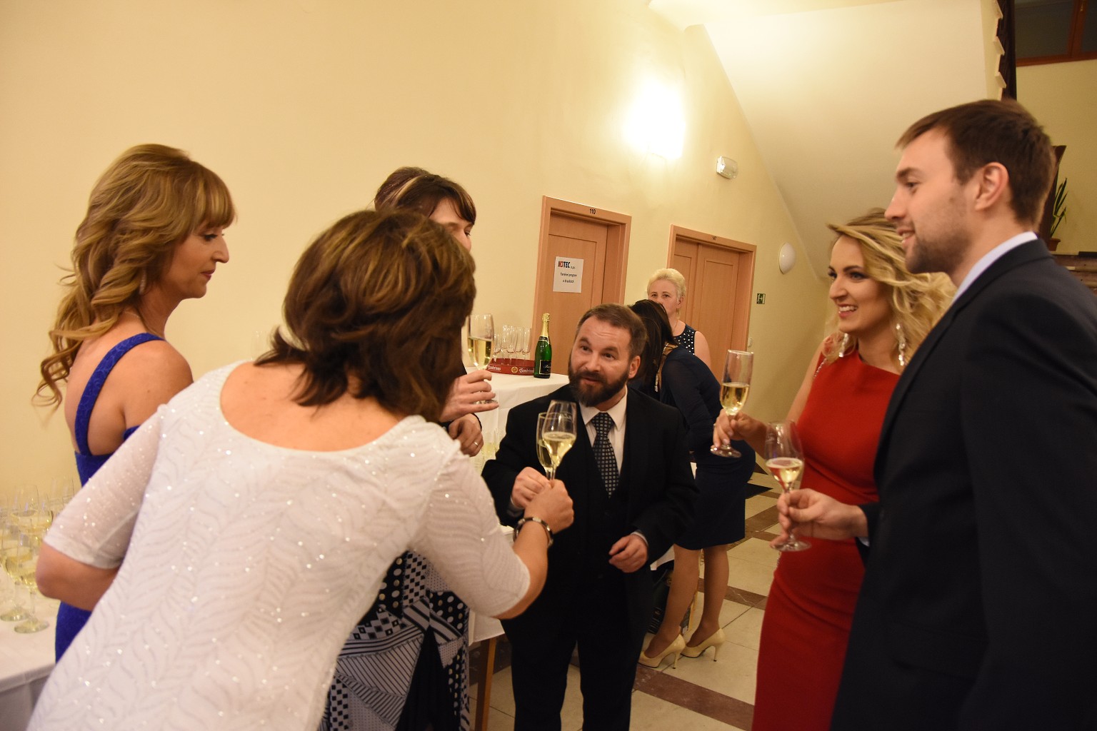 Reprezentační ples města Kraslice