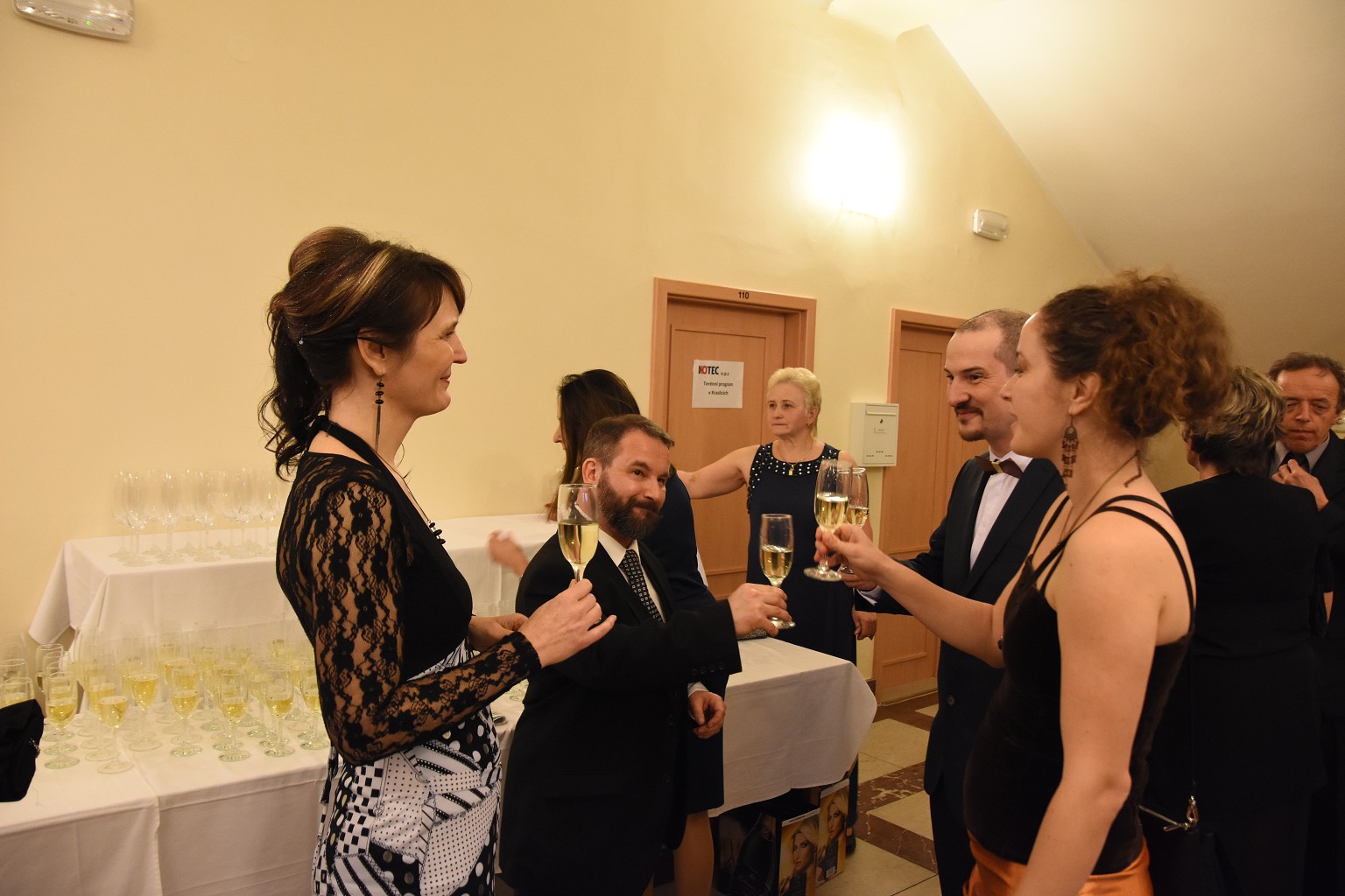 Reprezentační ples města Kraslice