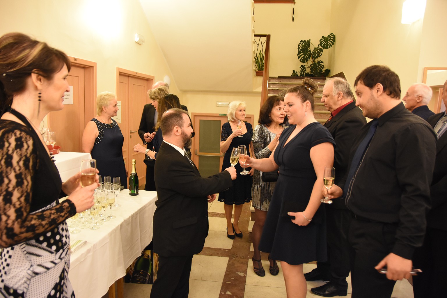 Reprezentační ples města Kraslice