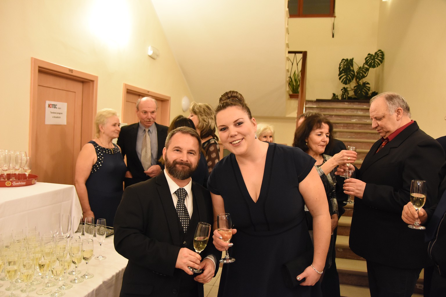 Reprezentační ples města Kraslice