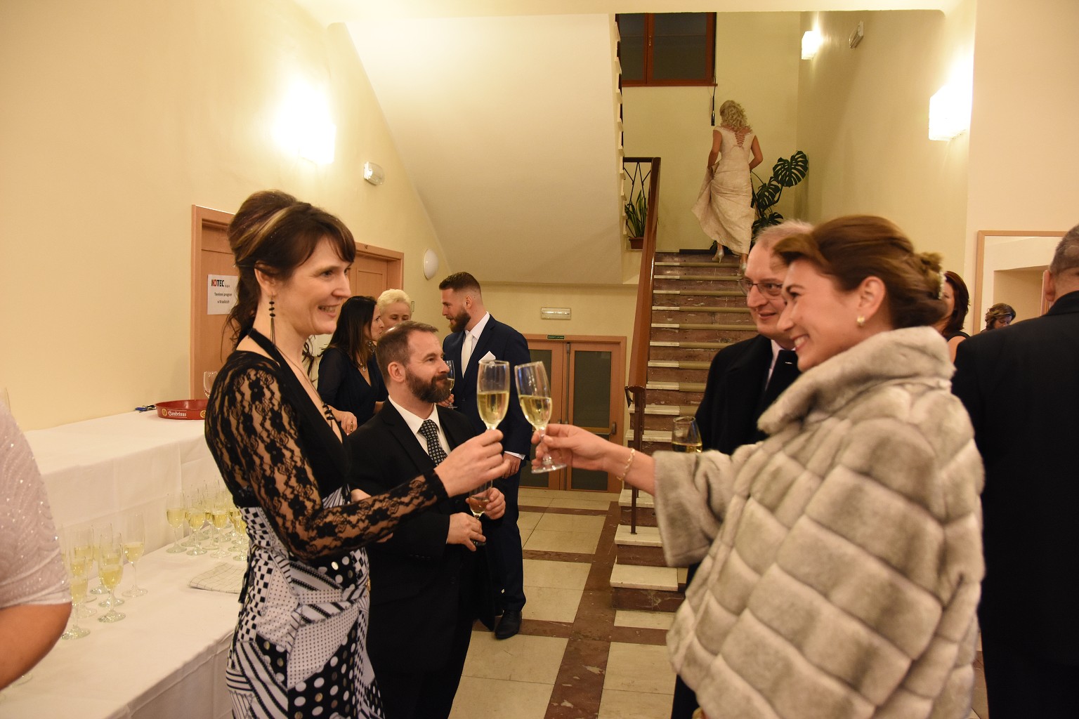 Reprezentační ples města Kraslice