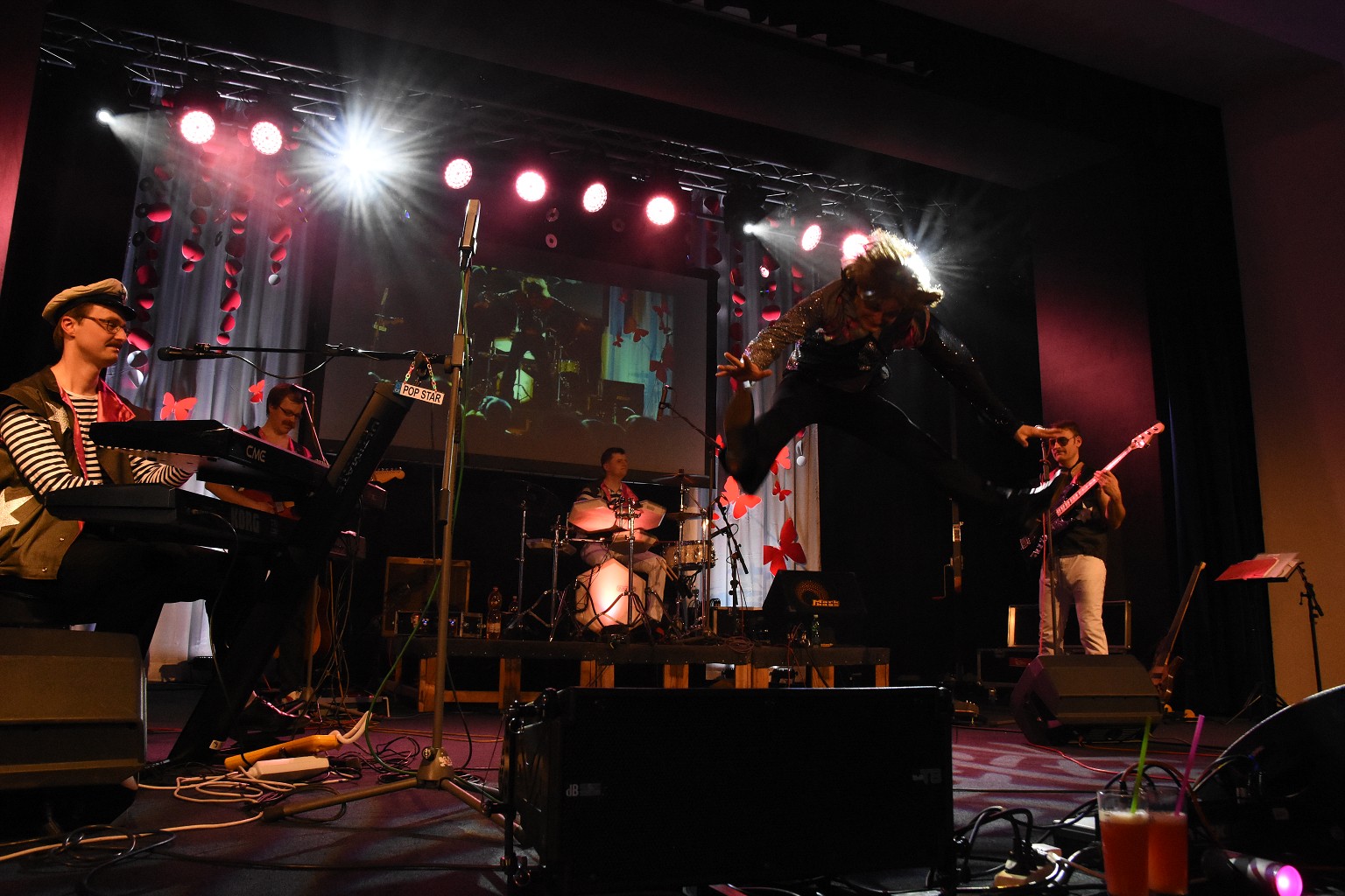 Reprezentační ples města Kraslice