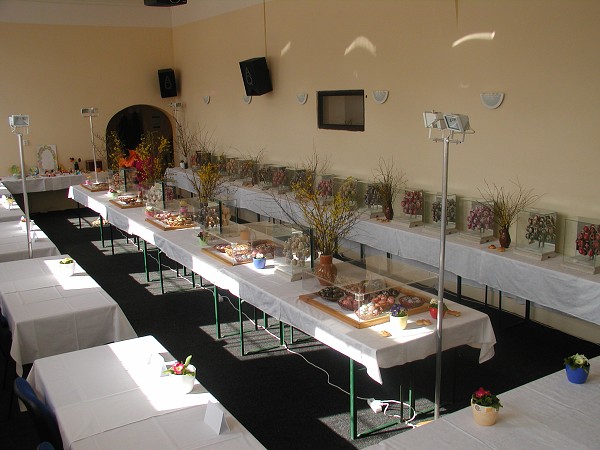 Kraslice v Kraslicích 2010