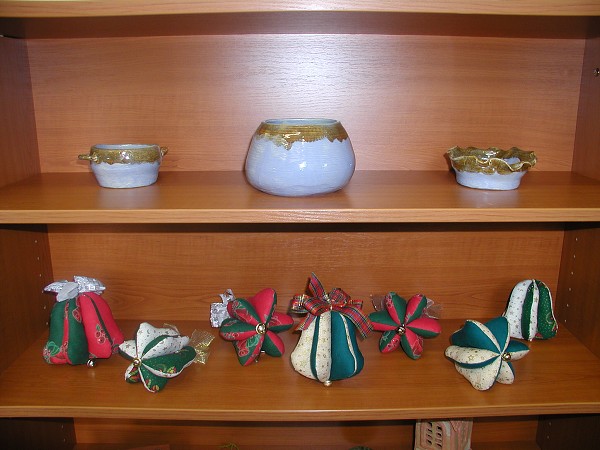 B. Havlíčková 2009