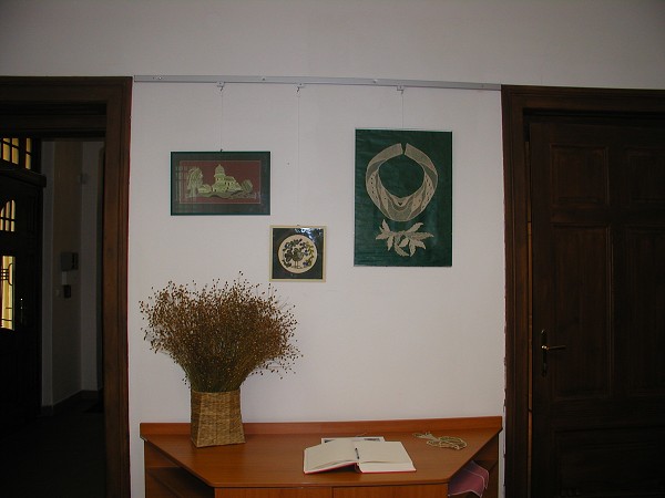 B. Havlíčková 2009