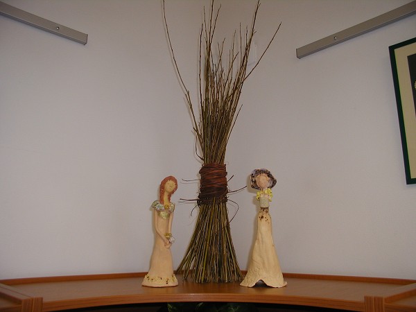 B. Havlíčková 2009