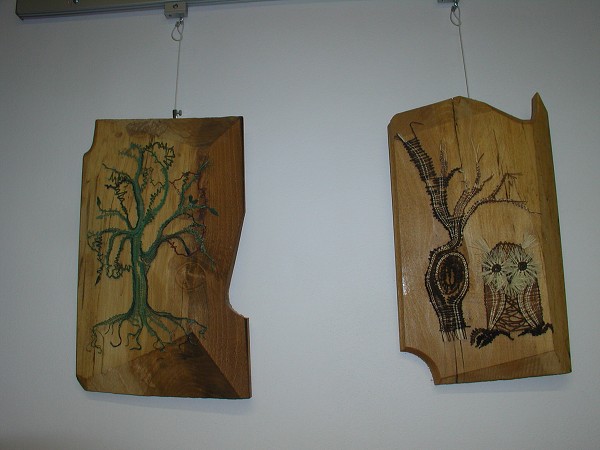 B. Havlíčková 2009