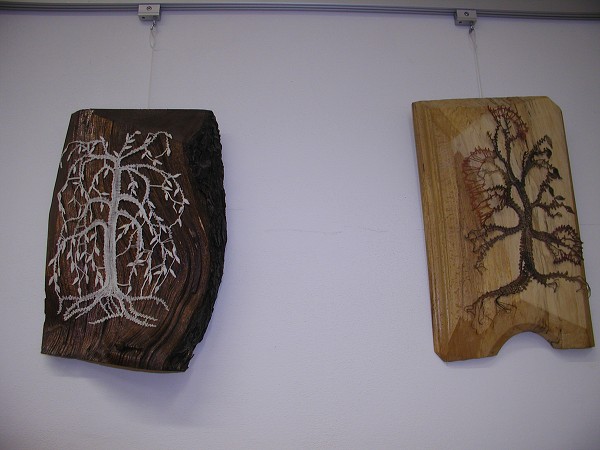 B. Havlíčková 2009