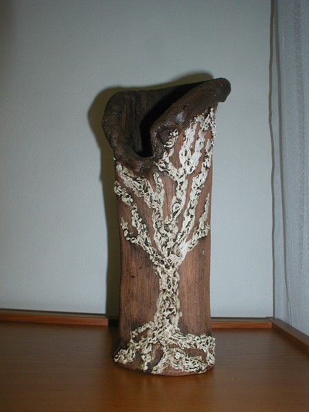 B. Havlíčková 2009