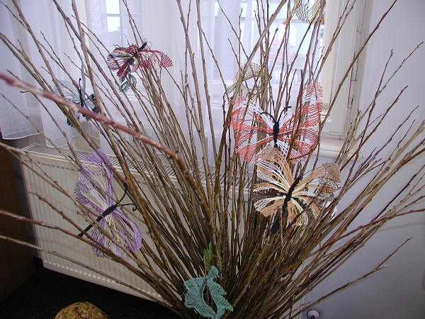 B. Havlíčková 2009