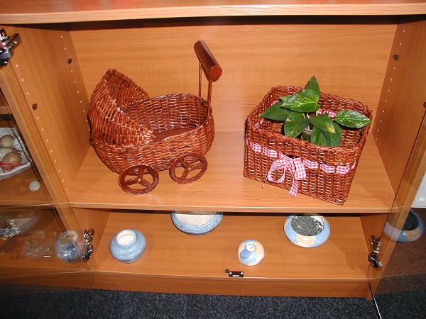 B. Havlíčková 2009