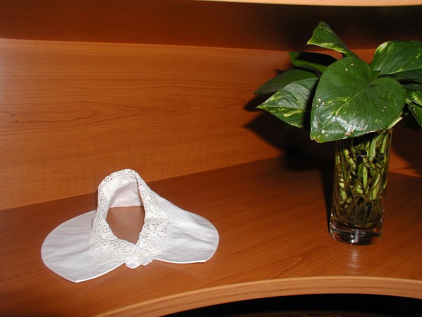 B. Havlíčková 2009